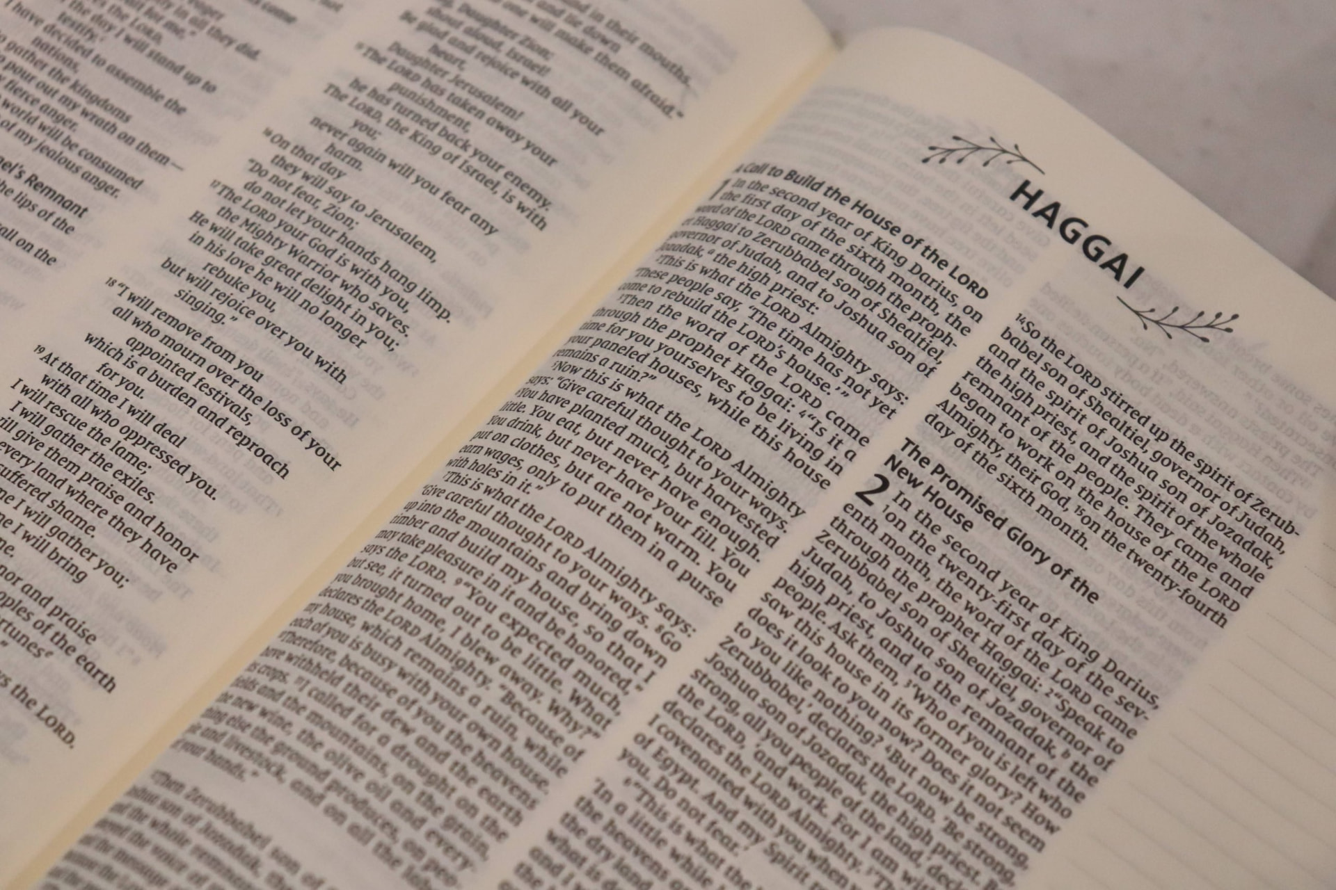 Open Bible